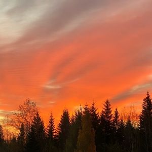 Meet your Posher, Sharla